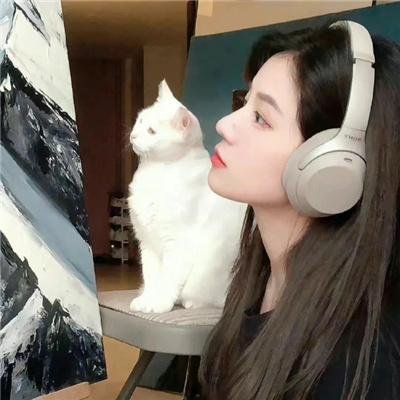 全金属狂潮第一季